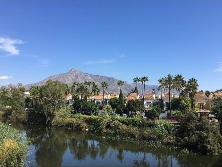 🌟 5 Jours de Découverte Culturelle en Andalousie : Sur les Traces d’un Héritage Millénaire 🌍 - Image 8