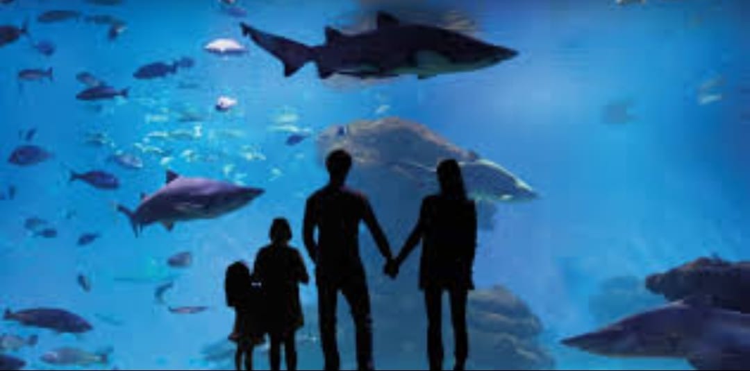 🚌 7 Jours à Madrid : À la Découverte du Cœur Culturel de l’Espagne 🇪🇸🎭 - Image 8