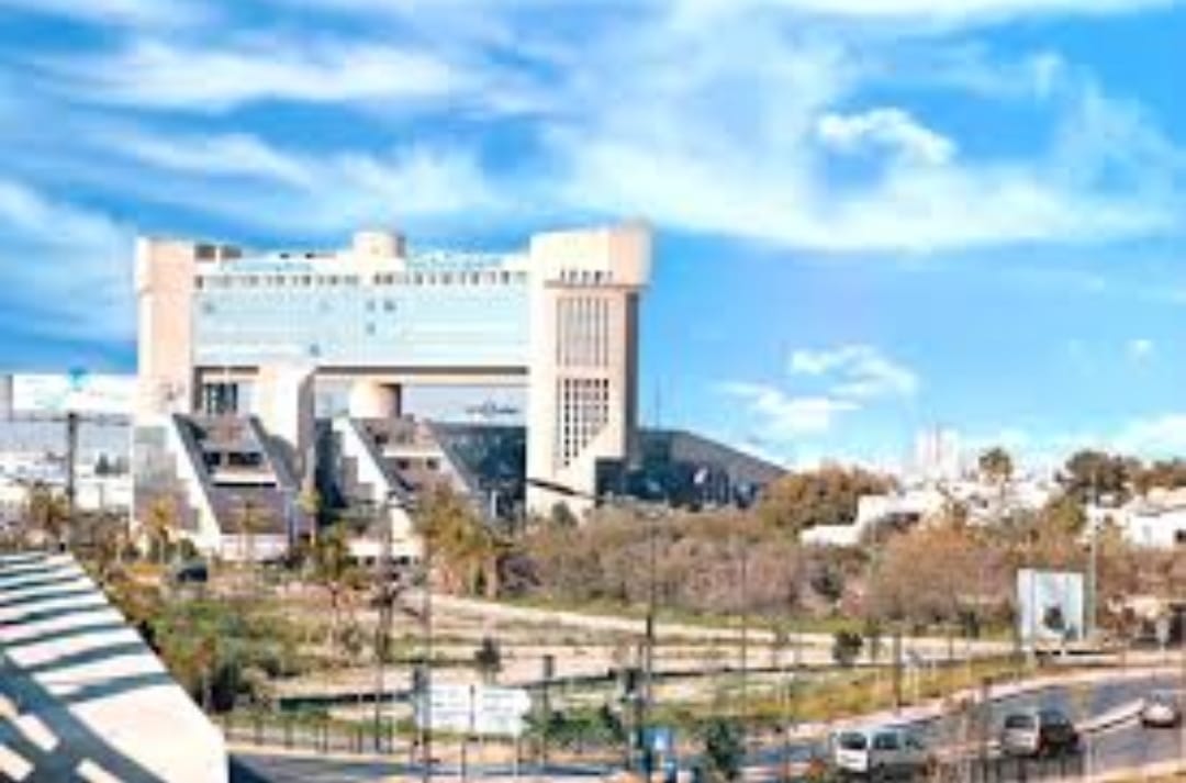 DÉCOUVERTE DES ENTREPRISES - Image 7