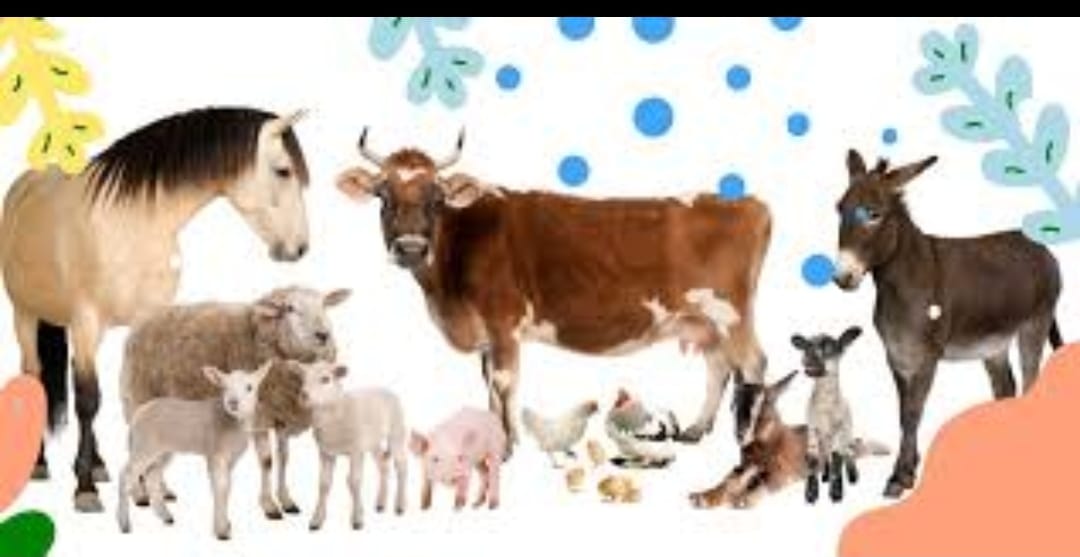 🐾 Voyage avec nos Amis les Animaux : Une Aventure Nature et Découverte 🌿 - Image 8